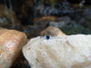 SJ2052 - Blue Sapphire with Diamond Ring Set in 18 Karat White Gold Settings