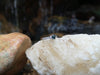 SJ2052 - Blue Sapphire with Diamond Ring Set in 18 Karat White Gold Settings