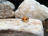 SJ2075 - Citrine Ring Set in 18 Karat Gold Settings