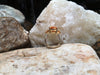 SJ2075 - Citrine Ring Set in 18 Karat Gold Settings