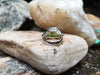 SJ2186 - Peridot Ring Set in 18 Karat White Gold Settings