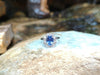SJ1740 - Blue Sapphire with Diamond Ring Set in 18 Karat White Gold Settings
