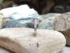 SJ6086 - Blue Sapphire with Diamond Ring Set in 18 Karat White Gold Settings