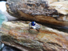 SJ6130 - Round Blue Sapphire with Diamond Ring Set in Platinum 950 Settings