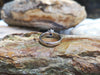 SJ6130 - Round Blue Sapphire with Diamond Ring Set in Platinum 950 Settings
