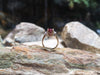 SJ1746 - GIA Certified Unheated 4 carat Ruby with Diamond Ring Set in 18 Karat Gold