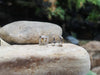 SJ1819 - Yellow Sapphire with Diamond Earrings Set in 18 Karat White Gold Settings