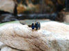 SJ1968 - Marquise Blue Sapphire Ring Set in 18 Karat Gold Settings