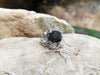 SJ1890 - Meteorite with Diamond Ring Set in 18 Karat White Gold Settings