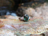 SJ2099 - Green Sapphire with Diamond Ring Set in 18 Karat Rose Gold Settings