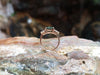 SJ2099 - Green Sapphire with Diamond Ring Set in 18 Karat Rose Gold Settings