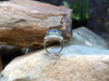 SJ1474 - Blue Sapphire with Emerald and Diamond Ring Set in 18 Karat White Gold Settings