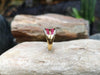 SJ1946 - Ruby with Diamond Ring Set in 18 Karat Gold Settings