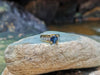 SJ1986 - Round Cut Blue Sapphire with Diamond Ring Set in 18 Karat Gold Settings