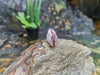 SJ1788 - Ruby with Diamond Ring Set in 18 Karat White Gold Setting