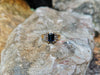 SJ2126 - Blue Sapphire with Diamond Ring Set in 18 Karat Gold Settings