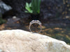 SJ1927 - Blue Sapphire with Diamond Ring Set in 18 Karat White Gold Settings
