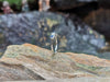 SJ1927 - Blue Sapphire with Diamond Ring Set in 18 Karat White Gold Settings