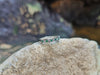 SJ1786 - Emerald with Diamond Ring Set in 18 Karat White Gold Settings