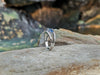 SJ6082 - Blue Sapphire with Diamond Ring Set in 18 Karat White Gold Settings