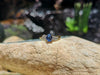 SJ6067 - Blue Sapphire with Diamond Ring Set in 18 Karat Gold Settings
