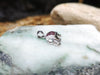 SJ1786 - Ruby with Diamond Elephant Pendant Set in 18 Karat White Gold Settings
