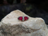 SJ1946 - Ruby with Diamond Ring Set in 18 Karat White Gold Settings