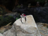 SJ1946 - Ruby with Diamond Ring Set in 18 Karat White Gold Settings