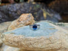 SJ1360 - Blue Sapphire with Diamond Ring Set in 18 Karat White Gold Settings