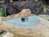 SJ1360 - Blue Sapphire with Diamond Ring Set in 18 Karat White Gold Settings