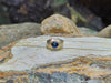 SJ1386 - Blue Sapphire with Diamond Ring Set in 18 Karat Gold Settings