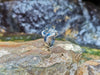 SJ1446 - Blue Sapphire with Diamond Ring Set in 18 Karat White Gold Settings