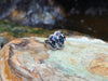 SJ1446 - Blue Sapphire with Diamond Ring Set in 18 Karat White Gold Settings