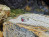 SJ1437 - Ruby with Diamond Ring Set in 18 Karat White Gold Settings