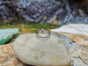 SJ6154 - Ruby with Diamond Ring Set in 18 Karat White Gold Settings