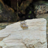 JP0093P - Diamond & Ruby Bee Brooch Set in 18 Karat Gold Setting