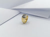 SJ1310 - Blue Sapphire with Diamond Ring Set in 18 Karat Gold Settings