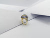 SJ1166 - Aquamarine with Blue Sapphire and Diamond Ring Set in 18 Karat Gold Settings