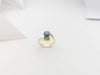SJ6420 - Blue Star Sapphire Ring Set in 18 Karat Gold Settings