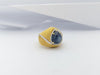 SJ2067 - Blue Star Sapphire with Diamond Ring Set in 18 Karat Gold Settings