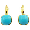SJ2965 - Turquoise Earrings Set in 18 Karat Gold Settings