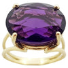 SJ2957 - Amethyst Ring Set in 14 Karat Gold Settings