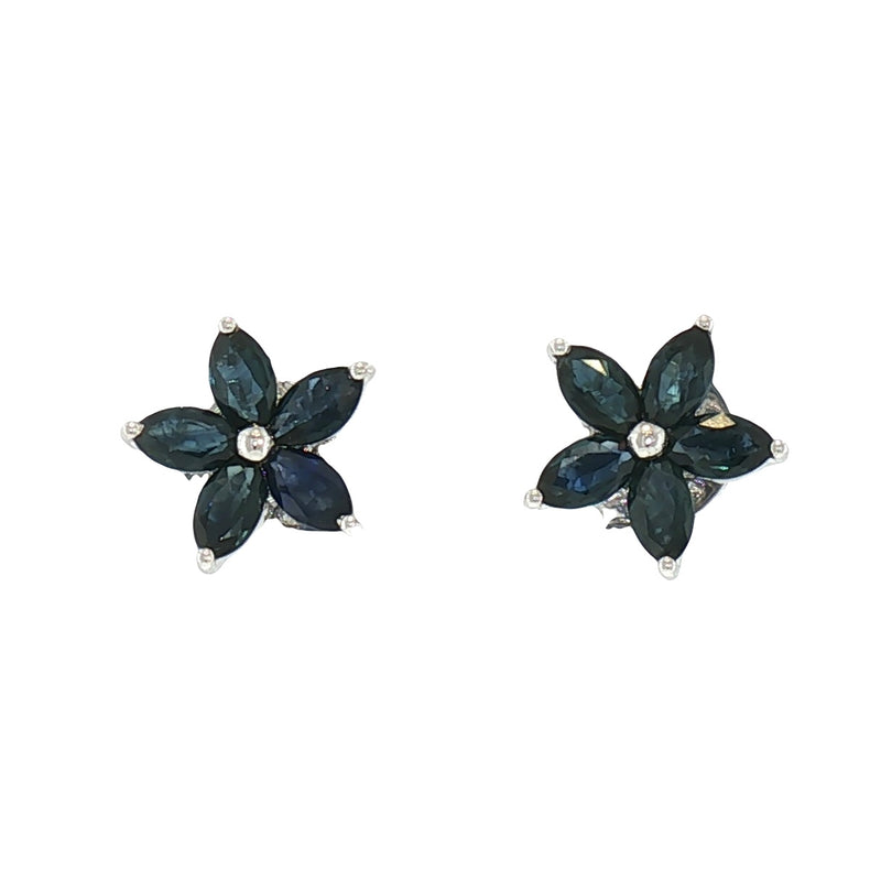 JE0357K - Blue Sapphire Earrings Set in 14K White Gold Setting