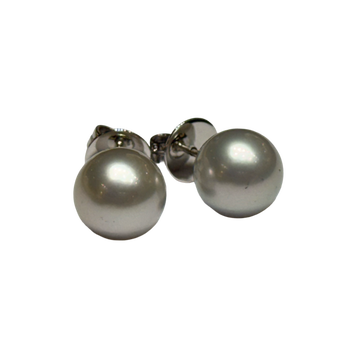JE0157K - South Sea Pearl Stud Earrings Set in 18K White Gold Setting