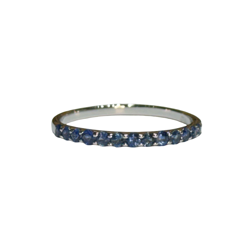 JR0193K - Blue Sapphire Band Set in 18K White Gold Setting