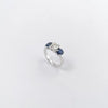 JR0069L - Diamond and Blue Sapphire Ring set in 18K White Gold Setting