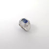 JR0707L - Blue Sapphire with Diamond Ring set in Platinum 950 Setting