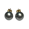 JE0303K - Tahitian South Sea Pearl Stud Earrings Set in 18K Gold Setting