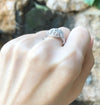 SJ2885 - Diamond Ring Set in 18 Karat White Gold Settings