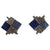 JE0363S - Blue Sapphire & Brown Diamond Earrings Set in 18 Karat White Gold Setting